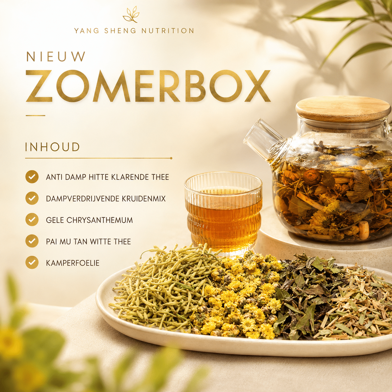 Zomerbox 1 zomberbox hitte klaren