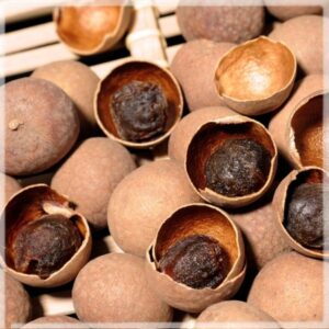 gedroogde longan vrucht