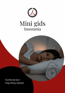 cover van het e-book mini gids insomnia