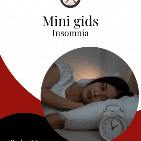 cover van het e-book mini gids insomnia